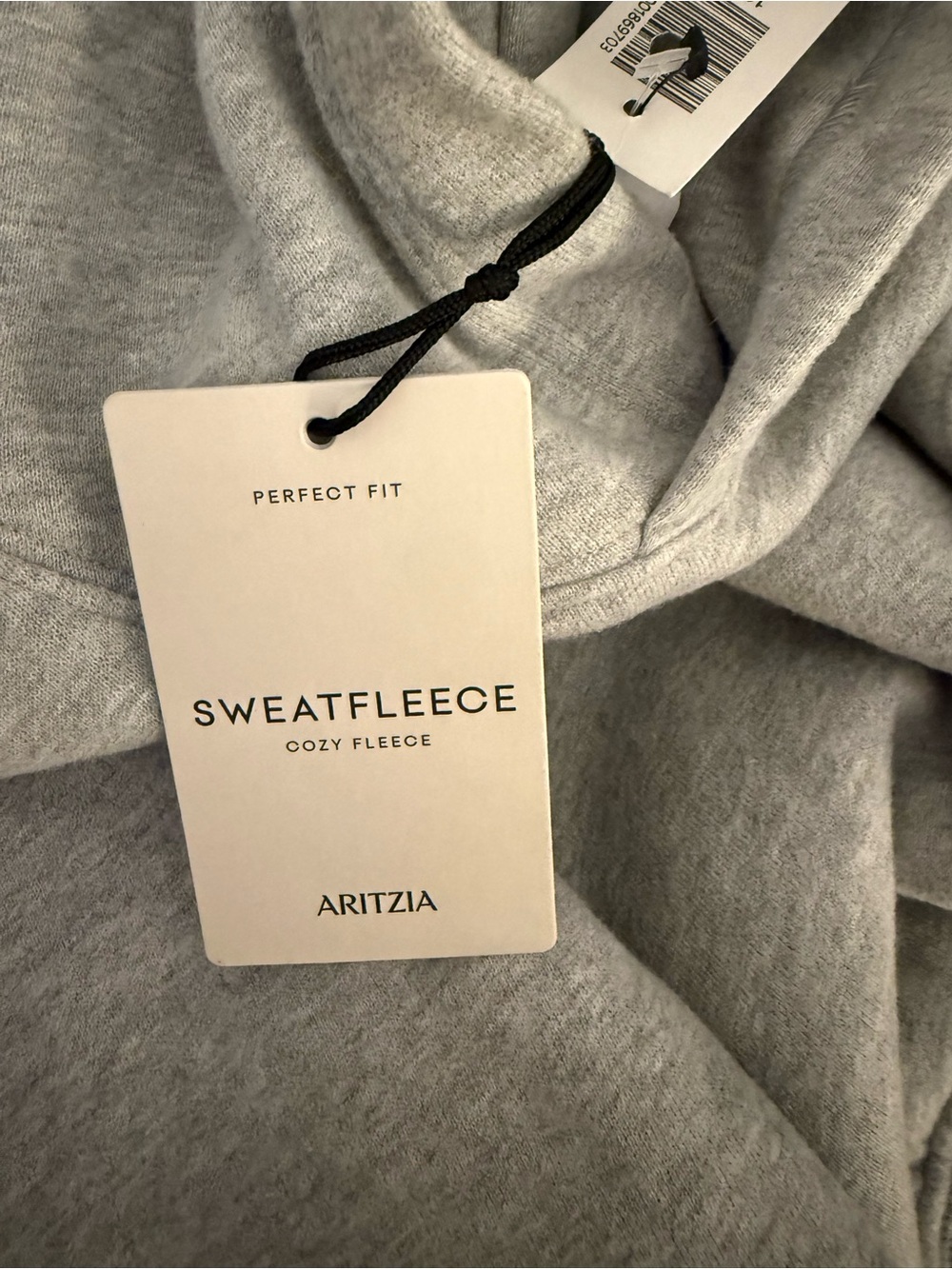 Aritzia Cozy Sweatfleece Perfect Hoodie - Picture 6 of 6